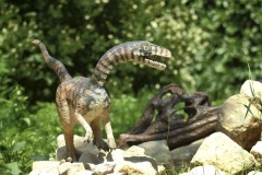 DinoPark