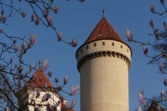 Konopiště