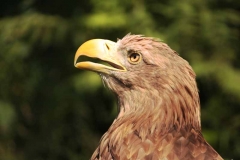 ZOO Liberec