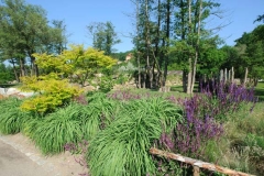 ZOO Plzeň