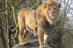 ZOO Plzeň