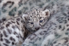ZOO Plzeň