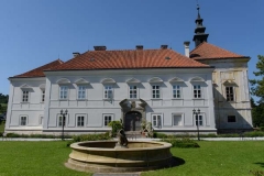 Radič