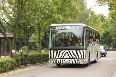 Safari Dvůr Králové