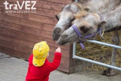 farmapark_sobehrdy_krmeni