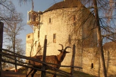 Točník