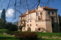 Vrchotovy Janovice