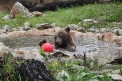 ZOO Ohrada