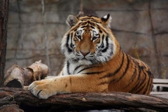 ZOO Ohrada