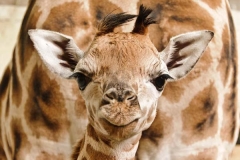 ZOO Praha
