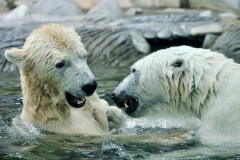 ZOO Praha