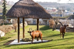 ZOO Praha