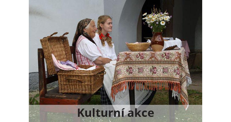 výlety pro seniory, kulturní akce
