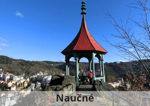 naucne