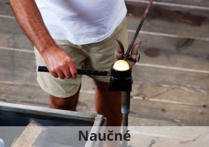 naucne