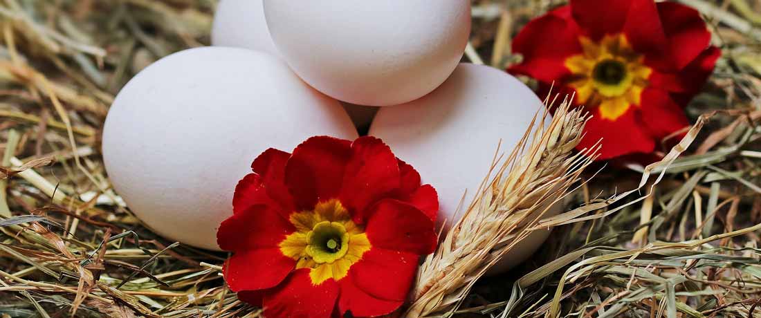 školní výlety velikonoce