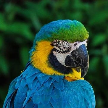 ZOO Chleby, výlety pro děti